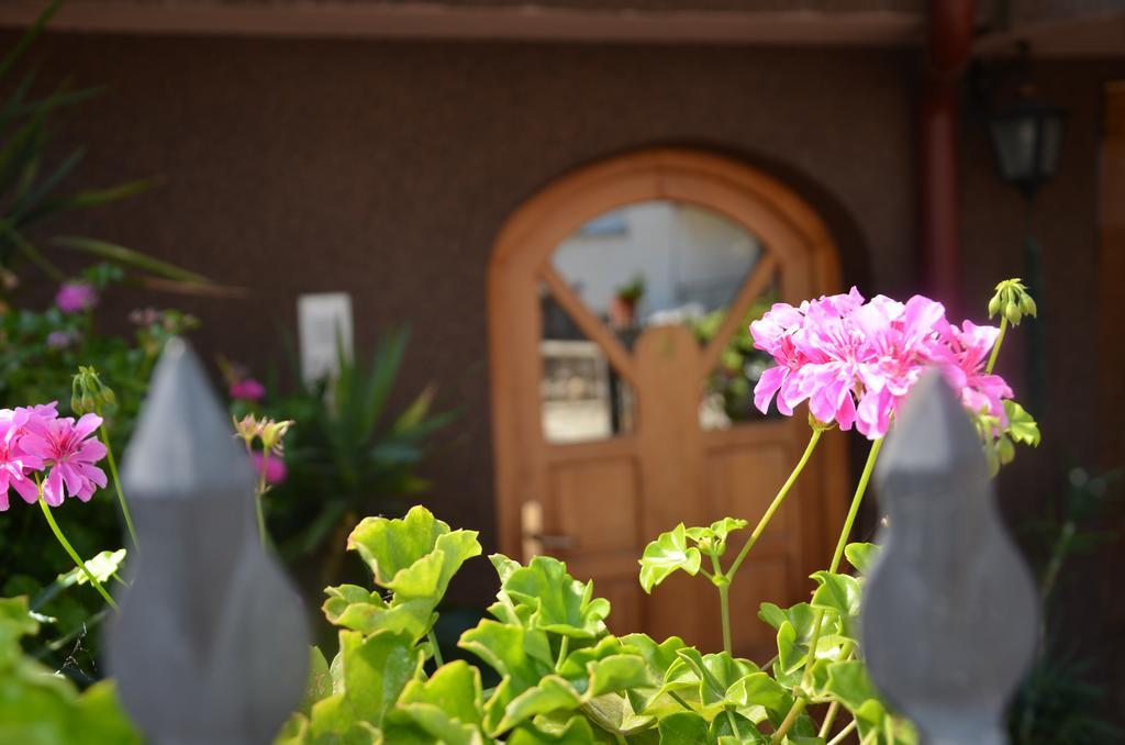 Villa Caci Ohrid Exterior photo