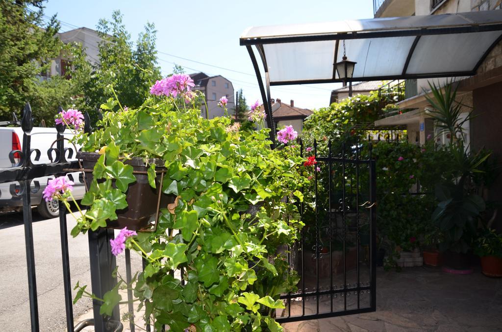 Villa Caci Ohrid Exterior photo